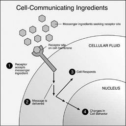 Cell-Communicating ingredients