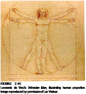 Подпись: FIGURE 2.45 Leonardo da Vinci's Vetruvian Man, illustrating human proportion. Image reproduced by permission of Luc Viatour. 