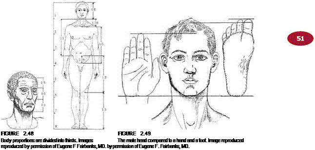Подпись: FIGURE 2.48 FIGURE 2.49 Body proportions are divided into thirds. Images The male head compared to a hand and a foot. Image reproduced reproduced by permission of Eugene F Fairbanks, MD. by permission of Eugene F. Fairbanks, MD. 