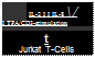 Подпись: IL-2 I I IL-8  / I TPA/CD3-stimulation t Jurkat T-Cells 