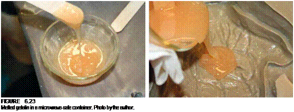 Подпись: FIGURE 6.23 Melted gelatin in a microwave-safe container. Photo by the author. 