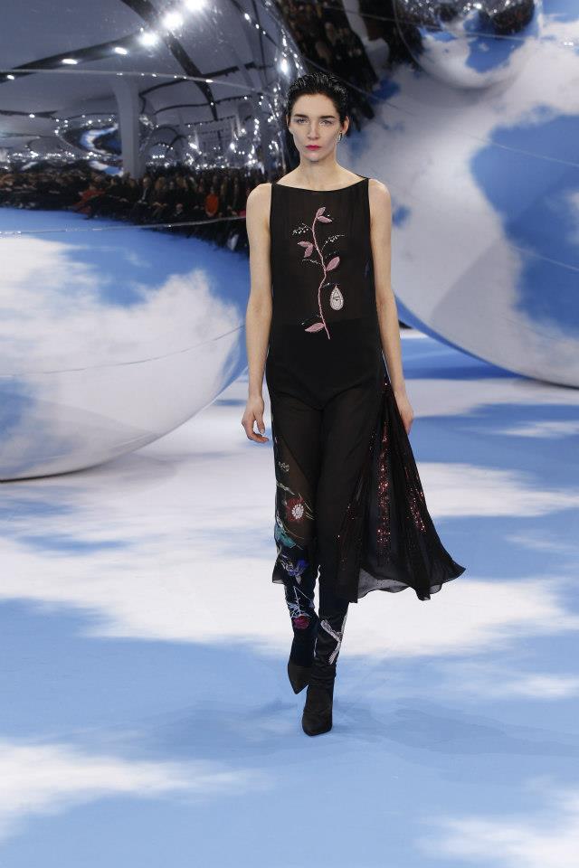 Dior collection autumn-winter 2013-2014